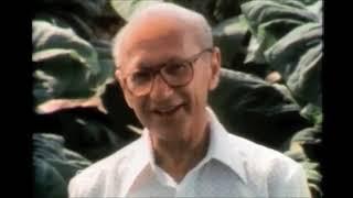 Milton Friedman - Inflation is Taxation Without Representation