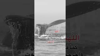 اللهم كما فرجت عن يونس واخرجته من بطن الحوت فرج عن قلوب لا يعلم بحالها إلا انت
