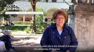 [Med-EcoSuRe-Italy]: Towards Sustainable and Efficient University Buildings