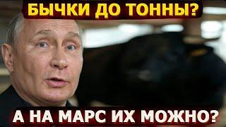 Тарантино отдыхает – диалог Путина о бычках взорвал интернет