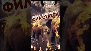 ФИЛ СУРЕСИ (КЫРГЫЗЧА МААНИСИ МЕНЕН) #ислам #куран