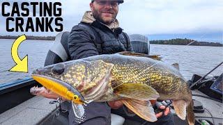 Casting Cranks for Shallow Spring Walleyes!