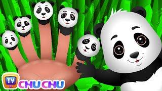 Finger Family Panda | ChuChu TV Animal Finger Family Songs & Nursery Rhymes For Children