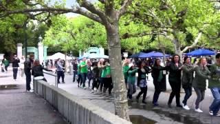 Conga Line Flash mob