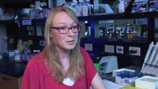 Brittany Walker - UB School of Pharmacy and Pharmaceutical Sciences