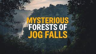 Exploring the Mystical Forests of Jog Forest Around Jog Falls, India