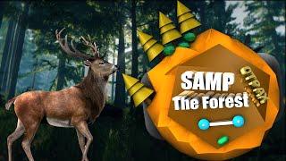 SA-MP/The Forest баги,приколы, смешные моменты️