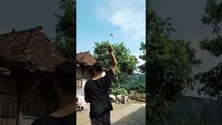 main layang layang