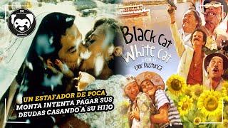 Gato negro, gato blanco | ¡Qué película más fantástica!