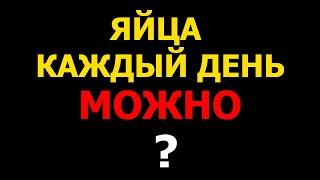 Как яйца влияют на организм при регулярном употреблении?