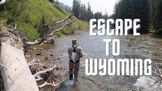 Dispersed Camping & Attempting to Fly Fish in Wyoming