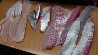 Enjoy Fish Filleting Skills