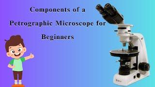 Components of a Petrographic Microscope for Beginners: such as Binocular Heads, Lenses, and More.