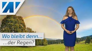 Deutschland trocknet aus: Kein Landregen in Sicht! Schauer sind nur Tropfen auf den heißen Stein!