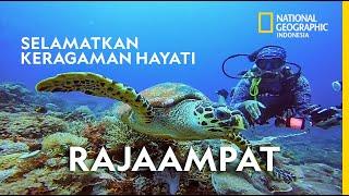 'BLUE ECONOMY' : JALAN KELUAR MENYELAMATKAN RAJAAMPAT DARI KERUSAKAN