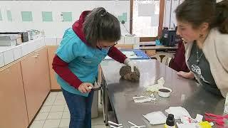 Buoux : fermeture du centre de sauvegarde de la faune sauvage