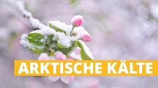 7-Tage-Wetter: Arktische Kälte knackt Frühlingsbollwerk