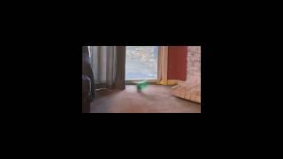 Cool trick shot.