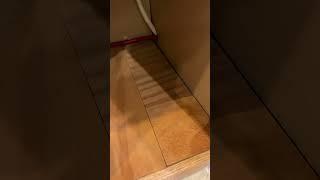Water Damaged Cabinet Fix under sink #diy #creative #waterdamagerestoration #kitchen #woodworking