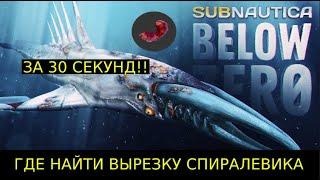 ГДЕ НАЙТИ ВЫРЕЗКУ СПИРАЛЕВИКА в Subnautica BELOW ZERO