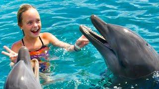 We Play with Dolphins on a Tropical Island! Kids Fun TV