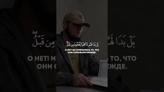 Сура аль-Анам, аяты 27-28. Умар Сильдинский #quran #коран #islam