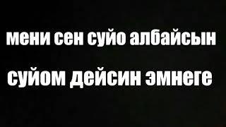 Суйуу жашка карабайт