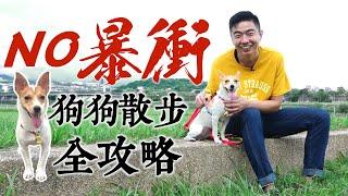 No暴衝！狗狗散步全攻略｜熊爸估狗