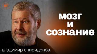 Каждому третьему нужен психолог. Владимир Спиридонов о связи генетики, нервной системы и науке