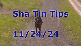 Hong Kong Horse Racing Tips 11/24/2024 - Sha Tin