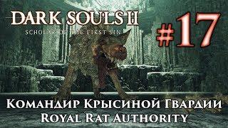 Командир Крысиной Гвардии: Dark Souls 2 / Дарк Соулс 2 - тактика как убить, как победить босса ДС2