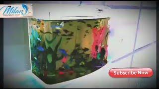 Molded glass aquarium | Low cost imported aquarium | Molded aquarium decoration ideas