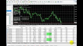 Vzlomshik EA Live Forex Trading Foex robots | Download