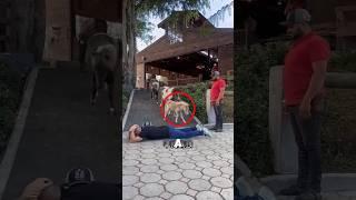This man Lay Down in Front of His Horses ️ #shorts  #animals