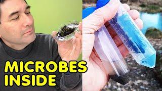 How to collect microorganisms in winter (to put under the microscope!)