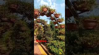 sabse bada park rambagh in mumbai shivaji nagar new mumbai