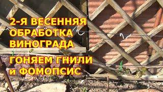 Вторая ВЕСЕННЯЯ ОБРАБОТКА ВИНОГРАДА, от ФОМОПСИСА и СЕРОЙ ГНИЛИ