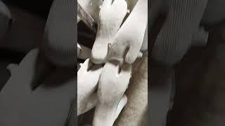 Leg mould for rubber gloves#medical#handcare