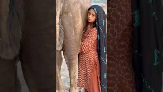 Desert life in india #traditional #villagelife #india