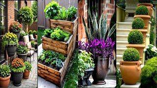 Brilliant Container Gardening Ideas: Transform Your Space with Stunning Pots & Plants!