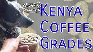 Kenya Coffee Grades