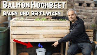 Kleines Hochbeet für Balkon und Terrasse einfach selber bauen und mit Salat und Gemüse bepflanzen