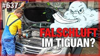 Gemisch zu MAGER! Falschluft im Tiguan?  | Kolbenkipper im VW Polo? 