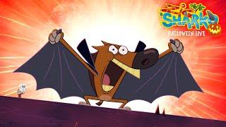  ZIG & SHARKO  LIVE CARTOON HALLOWEEN | NEW SEASON