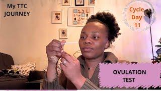 LIVE OVULATION TEST  | CD DAY 11| TTC JOURNEY BABY