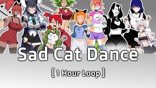 Sad Cat Dance Meme - 1 Hour Loop