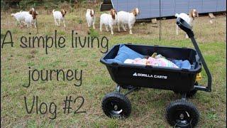 A simple living journey: Vlog #2