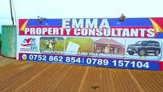 emma property consultants kitemu (advert)