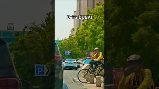 DEIRA DUBAI SUMMER DRIVE