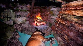 Solo BUSHCRAFT SURVIVAL SHELTER CAMPING in the wilderness, Campfire Cooking, Nature Sounds, Asmr